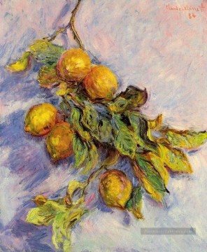  morte Art - Citrons sur une branche Claude Monet Nature morte